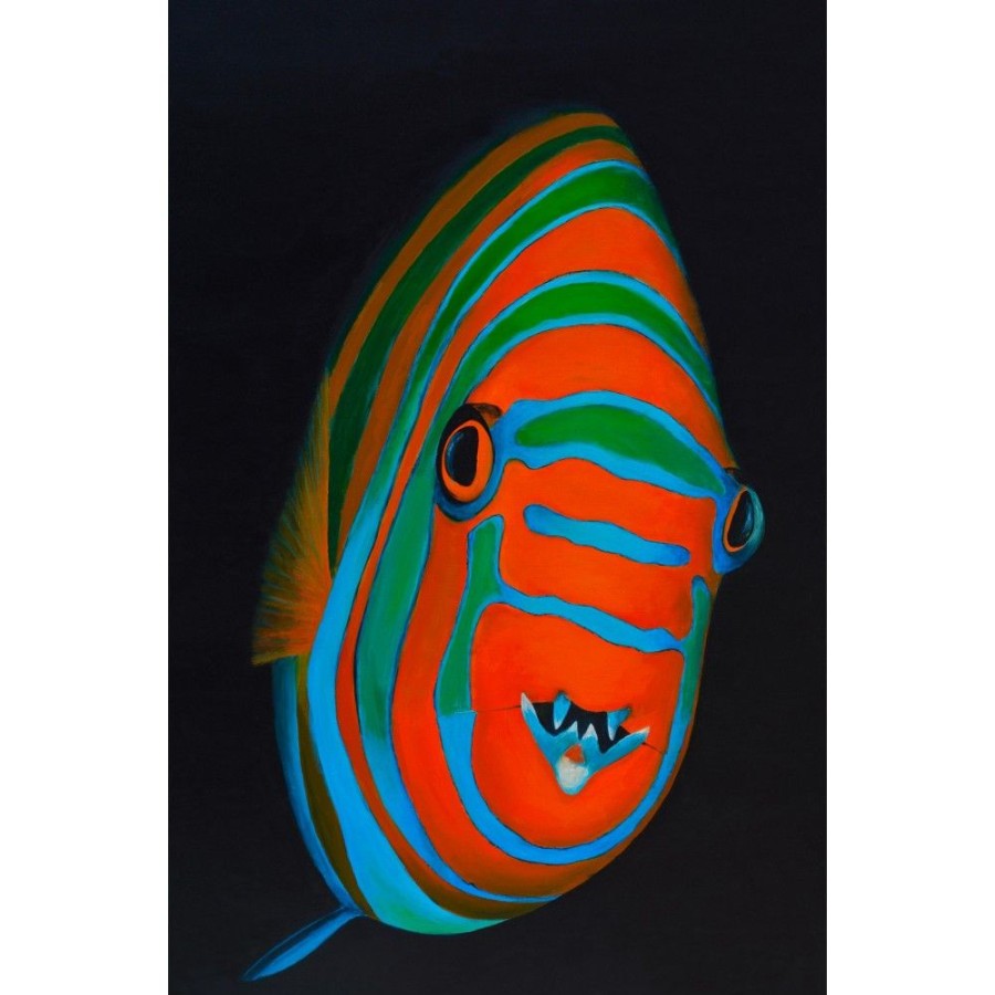 Styles En Peinture Galerie arnaud | 996 Poisson Arlequin