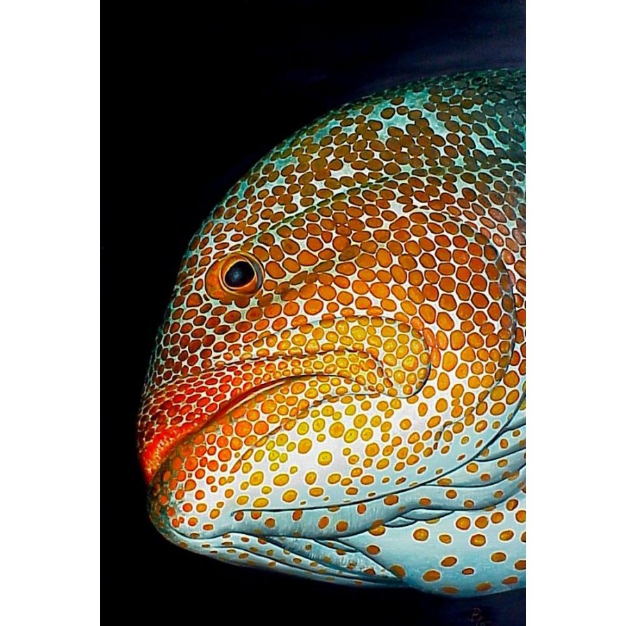 Styles En Peinture Galerie arnaud | 517 Tiger Grouper Portrait