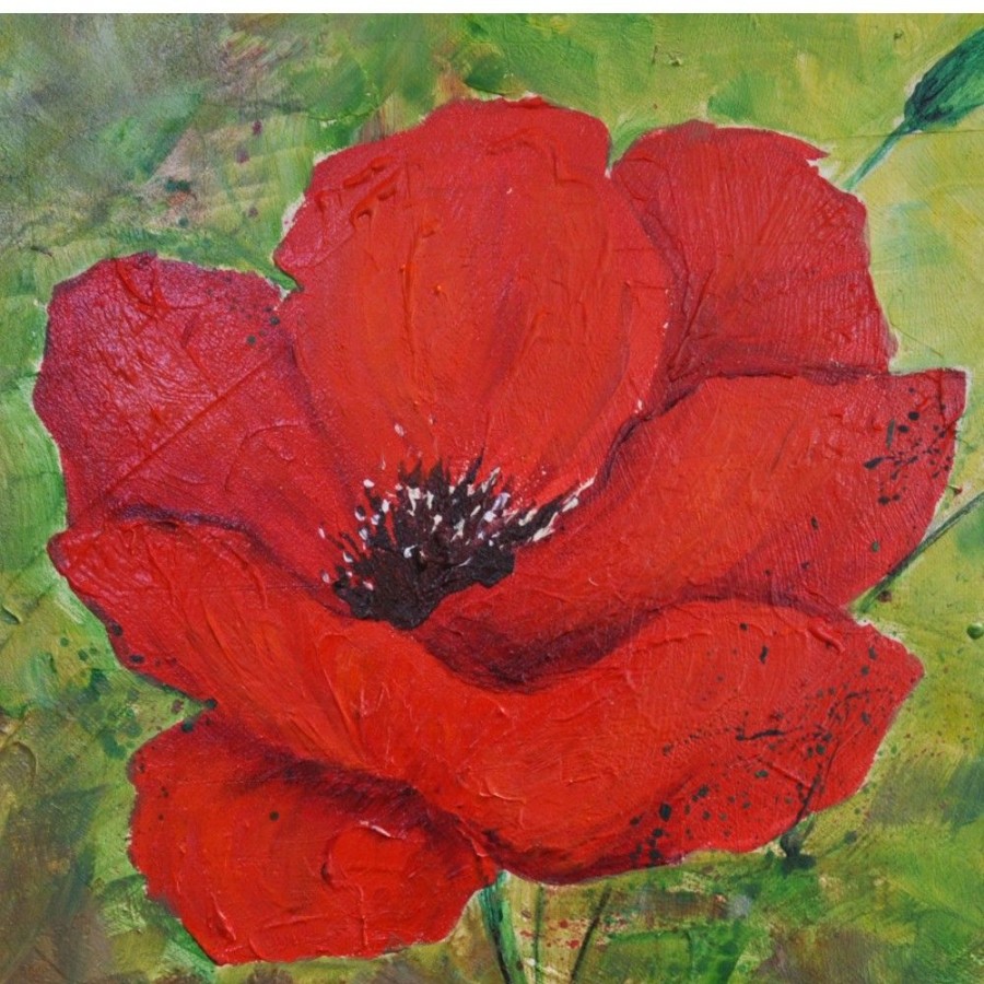 Styles En Peinture Galerie arnaud | Fleur De Coquelicot