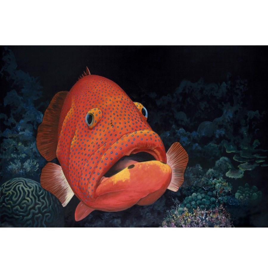 Styles En Peinture Galerie arnaud | 460 Coney Grouper