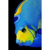 Styles En Peinture Galerie arnaud | 501 Queen Angelfish Portrait