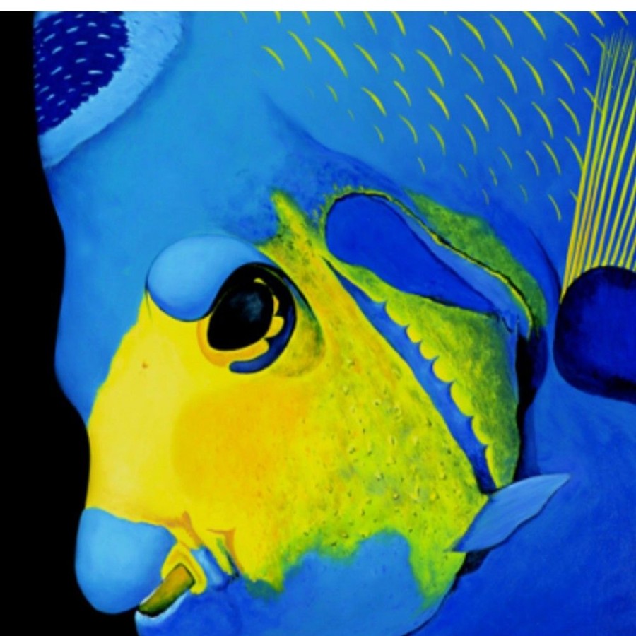 Styles En Peinture Galerie arnaud | 501 Queen Angelfish Portrait