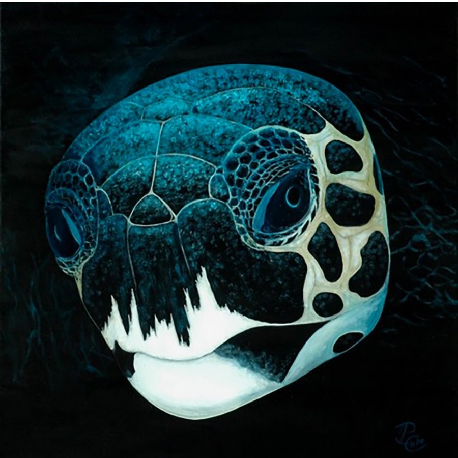 Styles En Peinture Galerie arnaud | Turtle Head By Night