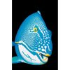 Styles En Peinture Galerie arnaud | 543 Bicolorparrotfish