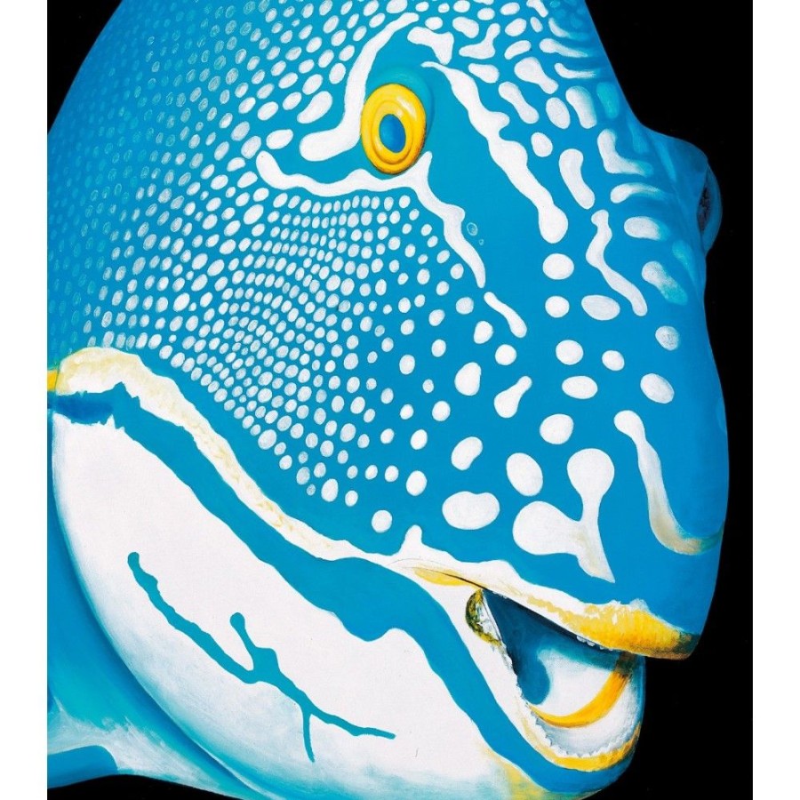 Styles En Peinture Galerie arnaud | 543 Bicolorparrotfish