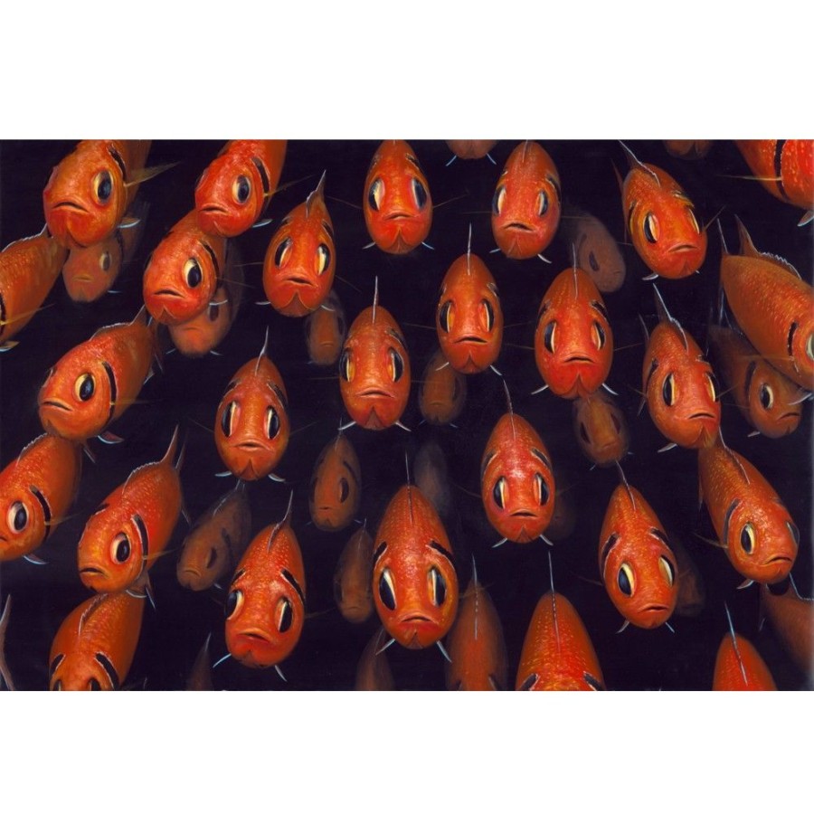 Styles En Peinture Galerie arnaud | 670 Soldierfish School