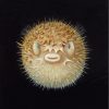 Styles En Peinture Galerie arnaud | 698 Scared Pufferfish