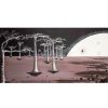 Styles En Peinture Galerie arnaud | Baobabs En Clair De Lune