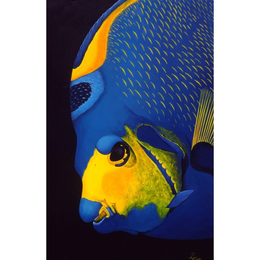 Styles En Peinture Galerie arnaud | 501 Fish