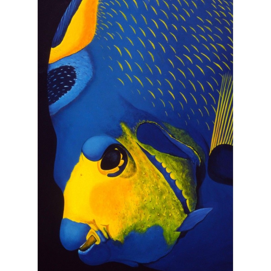 Styles En Peinture Galerie arnaud | 501 Fish